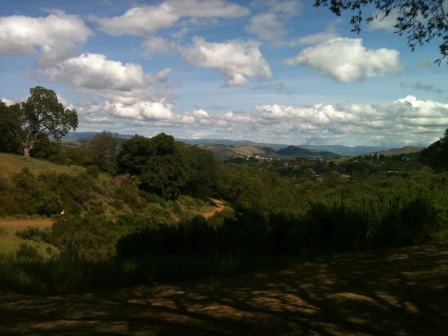 A picture of the hills arount Saratoga, California.